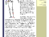 bonemeasurement internal page