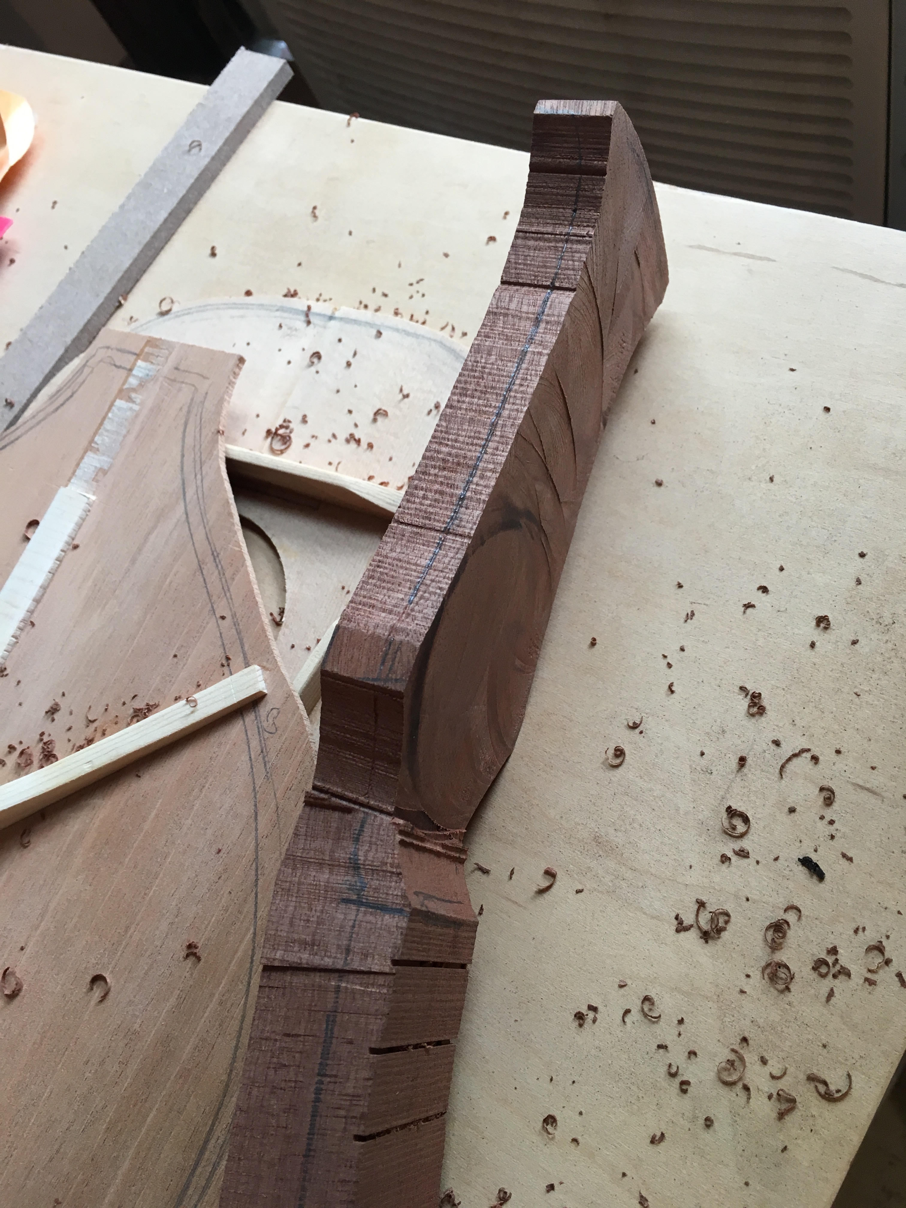 Mandolin Neck LandCrafted